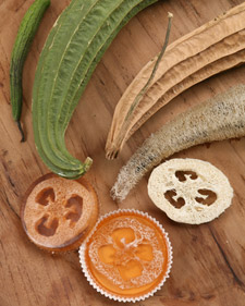Loofah Soap