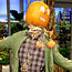 Funkin Scarecrows