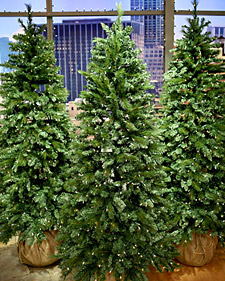 Christmas Tree Glossary