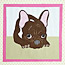 Fabric Pet Portrait


