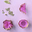 Paper-Cup Flowers