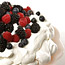 Pavlova