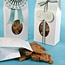Food Packaging Ideas