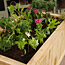Organic Gardening