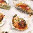 Oysters Casino
