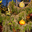 Terrifying Topiary
