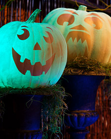 Martha Stewart Glow in the Dark Funkins