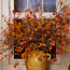 Branch Arrangements