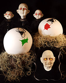 Spider Eggs