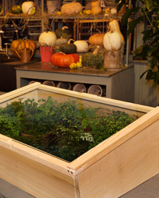 Cold Frame How-To 