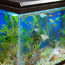 Freshwater/Saltwater