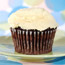 Chocolate Cupcakes
