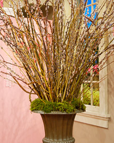 Pussy Willow Arrangement