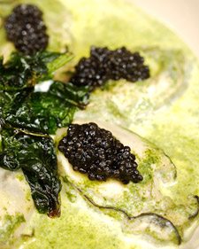 Poached Oysters in Pernod Cream 