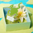 Paper Crafts