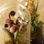 Waxed Flowers