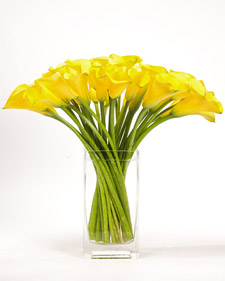 Calla Lily Arrangement