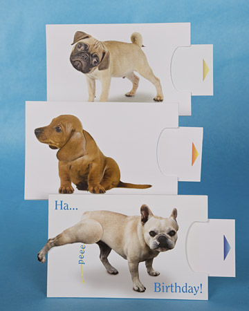 Mechanical Dog Cards