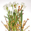 Bird's Nest Planter