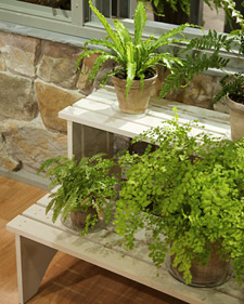 Tiered Plant Stand