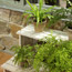 Tiered Plant Stand
