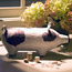 Piggy Bank