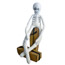 Sock Skeleton