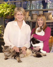 5071_011110_mainecoons_l.jpg