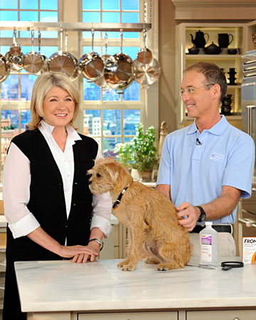 Martha Stewart Show