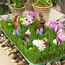 Grass Centerpiece