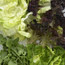 Green Salad How-To