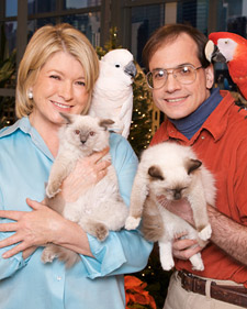 Holiday Pet Tips