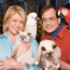 Holiday Pet Tips