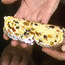 Stollen