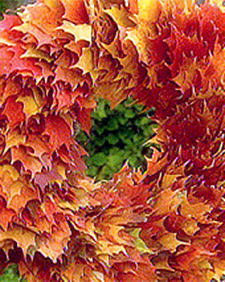 Preserving Leaves