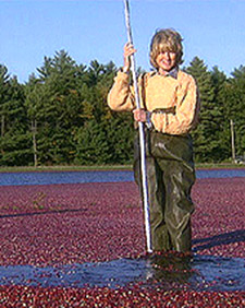 Cranberry Bog with John