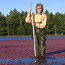 Cranberry Bog