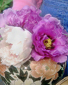 Seasonal Arrangments with Tree Peonies