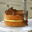 Yellow Cake