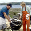 Oyster Roast