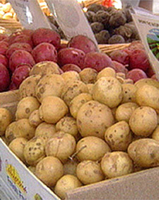 Potato Varieties 