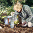 Spring Bulbs