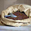 Buckwheat Pillows