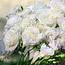 All-White Centerpiece