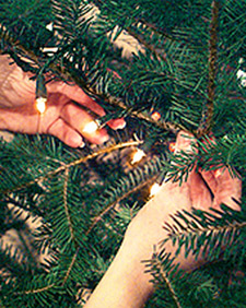 Setting up a Christmas Tree