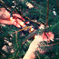 Christmas Tree Setup