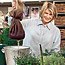 Feeding Herbs
