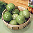 Green Tomato Guide