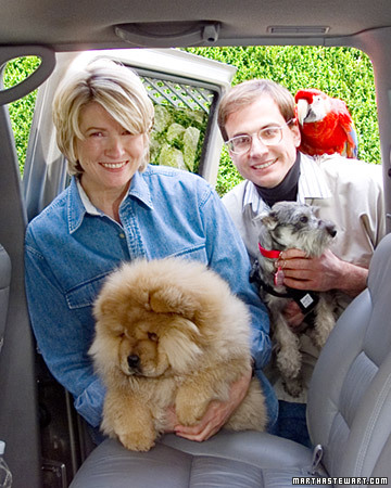 Traveling with Pets