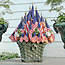 Flag Planter